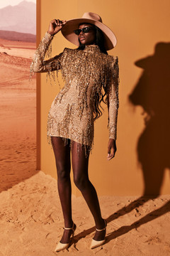 Embroidered Sequin Fringe Dress Embroidered Sequin Fringe Dress
