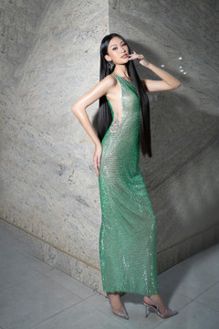Embellished-Midi Dress