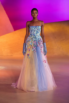 Applique Ball Gown