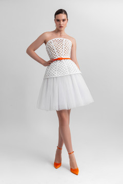 Strapless Corset and Tulle Skirt
