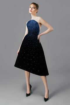 Velvet Embroidered Midi Dress Velvet Embroidered Midi Dress