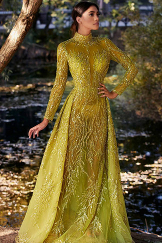 High-Neck Sleeved Gown