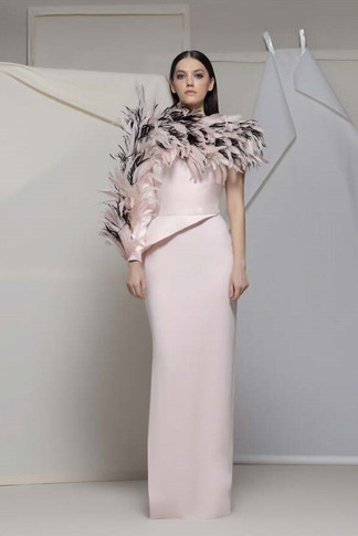 Anagni Pink Feathered Neck Gown