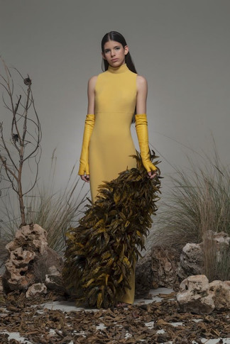Barcis Sleeveless Feathered Gown