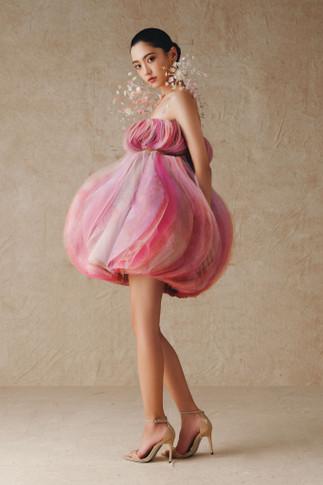 Ruffled Mini Dress
