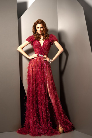 Short Sleeve Feathered Slit Gown