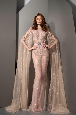 Semi-Sheer Cape Sleeve Gown
