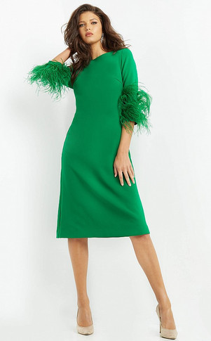 Short Feathered Sleeve Dress