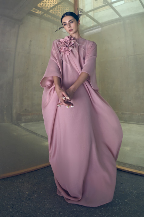 Dina Long Sleeve Gown