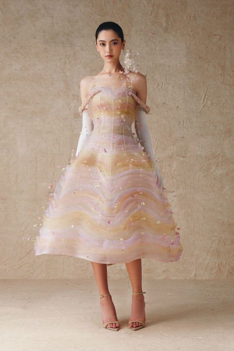 Sheer Tulle Dress