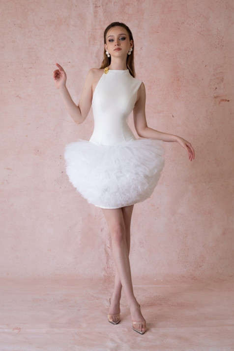 Tutu Mini Dress