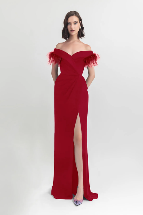 Slim-Cut Gown with Feathers