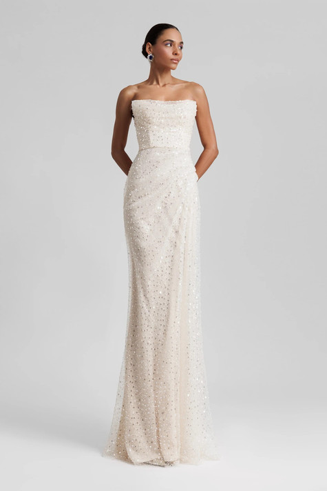 Strapless Embroidered Tulle Dress