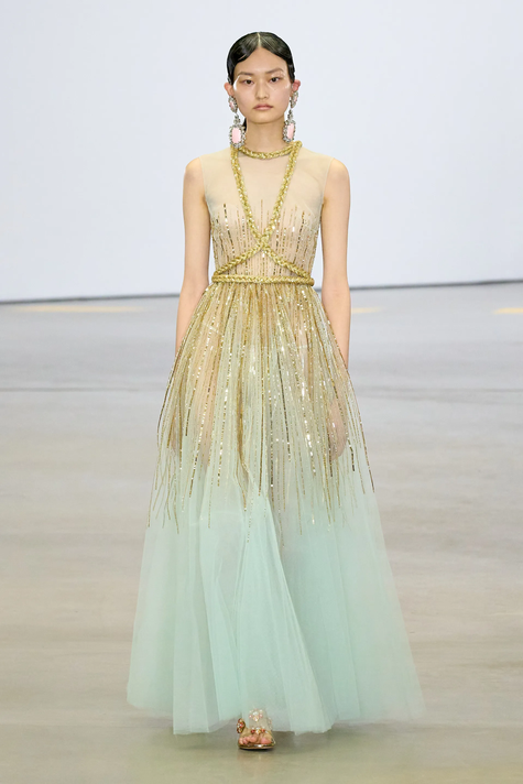 Embroidered  Tulle Sleeveless Gown