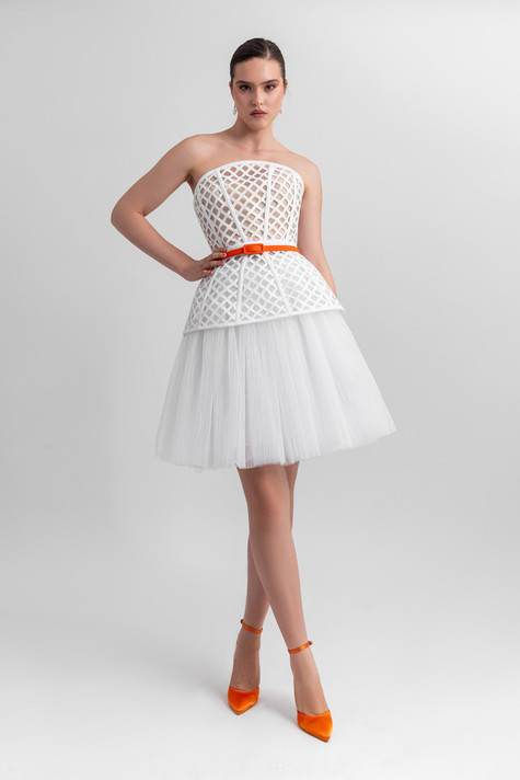 Strapless Corset and Tulle Skirt