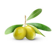 Jojoba Oil