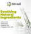 terrasil bed sore natural ingredients