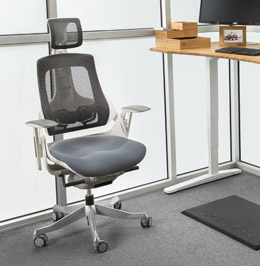 Height Adjustable Standing Desk | UPLIFT Desk