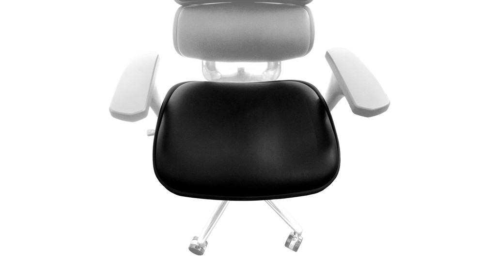 Raynor Ergohuman Chair Replacement Leather Seat for LE9ERG and