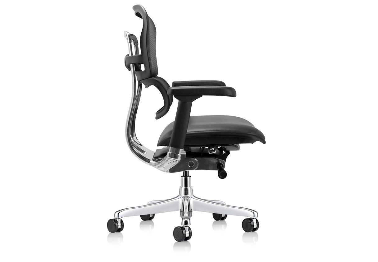 Raynor Ergohuman Mesh Chair with Leather Seat LEM6ERGLO | UPLIFT Desk