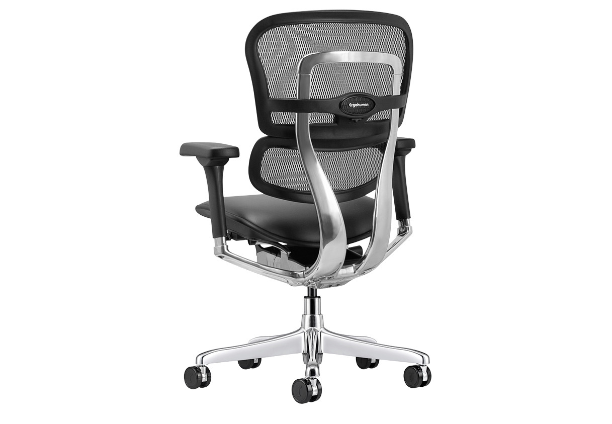 Raynor Ergohuman Mesh Chair with Leather Seat LEM6ERGLO | UPLIFT Desk