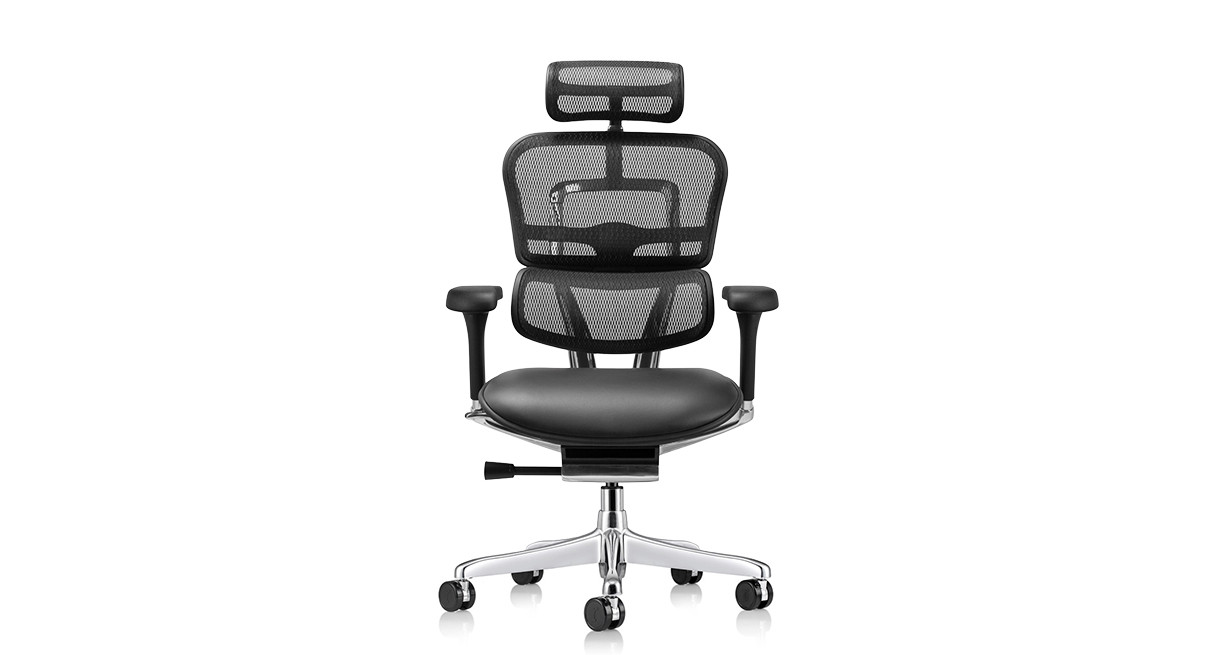 Raynor Ergohuman Mesh Chairs - Leather Seat LEM4ERG | UPLIFT Desk