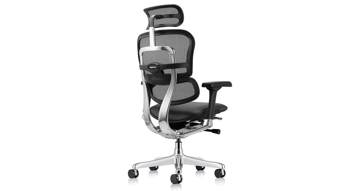 Raynor Ergohuman Mesh Chairs - Leather Seat LEM4ERG | UPLIFT Desk