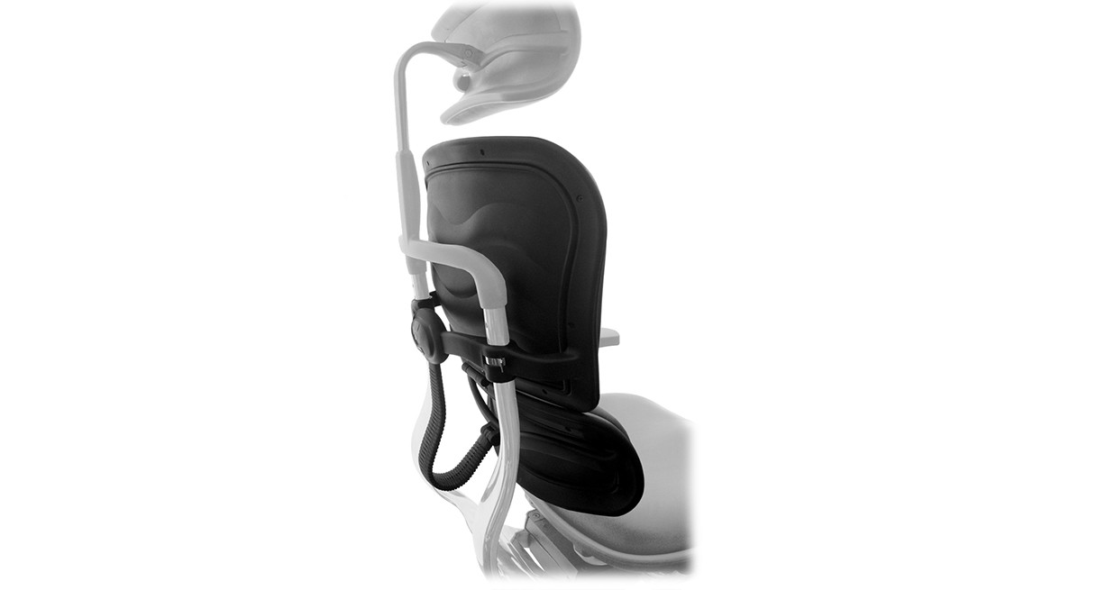 Raynor Ergohuman Chair Replacement Leather Back for LE9ERG and