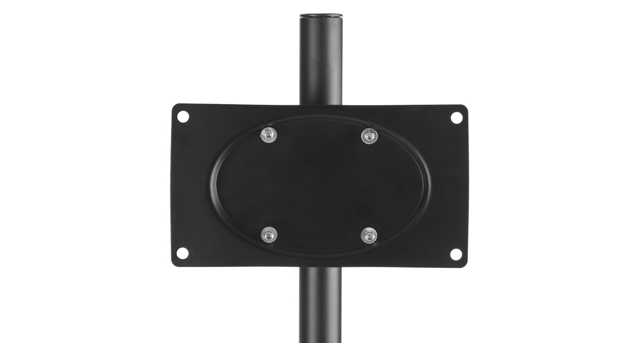 VESA 200x200 standard with adapter plate