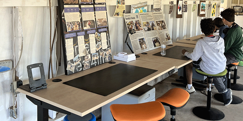 Austin Farm Sanctuary: Desk Donation Spotlight | UPLIFT Desk