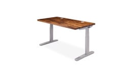 UPLIFT 2-Leg Standing Desk in Gray with a Saman Butcher Block desktop.