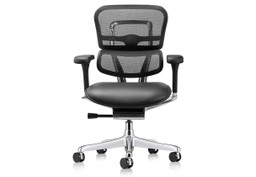 Raynor Ergohuman Chair - Thumbnail 4