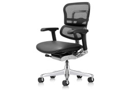 Raynor Ergohuman Chair - Thumbnail 3