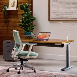 Reclaimed Birch Solid Wood UPLIFT Standing Desk with Sage colored Envoke Ergonomic Chair