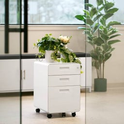 Add sleek, mobile filing cabinet drawers to your office for extra storage with style 