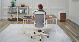 Bolan Ergonomic Chair