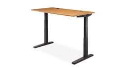 UPLIFT 2-Leg Standing Desk in Black with a Bamboo desktop