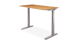 UPLIFT 2-Leg Standing Desk in Gray with a Bamboo desktop