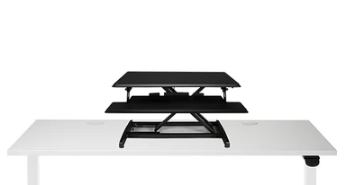 Lady Bird Standing Desk Converter