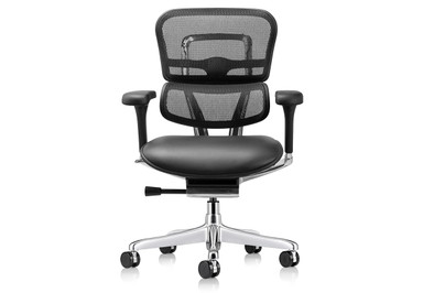 Raynor Ergohuman Mesh Chair with Leather Seat LEM6ERGLO | UPLIFT Desk