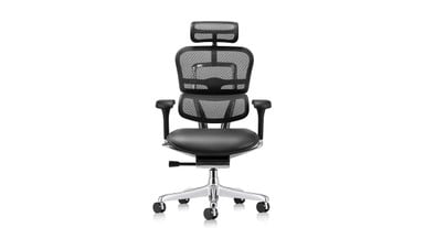 The Raynor Ergohuman Mesh Chair with Leather Seat and Headrest is available with black mesh on the seat back and headrest