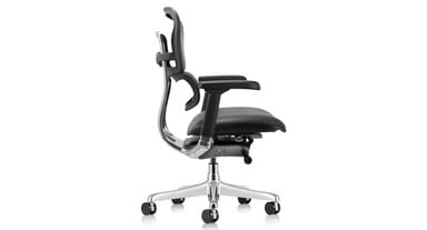 Raynor Ergohuman Chair LE10ERGLO provides long-term comfort
