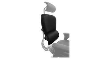 Keep your current chair, just replace the chair back with the Raynor Ergohuman Chair Replacement Leather Back for LE9ERG and LE10ERGLO