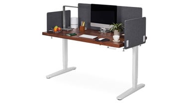 60" x 30" Walnut Solid Wood UPLIFT Standing Desk with Dark Gray Acoustic Privacy Panels