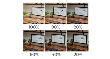 Six brightness levels: 100%, 90%, 80%, 60%, 40%, and 20%