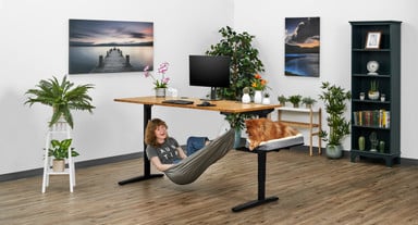 Sit in an Under Desk Hammock and relax with your pet; both the Desk Extension and Sidecar Shelf accommodate hammocks and other accessories