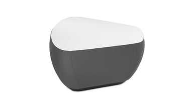 Each Dillo piece has a max weight limit of 250 lb
