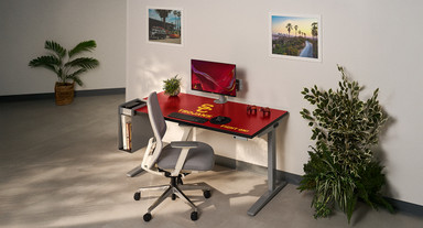 Bring your alma mater’s pride to life with the exclusive Collegiate Edition Standing Desk in your office