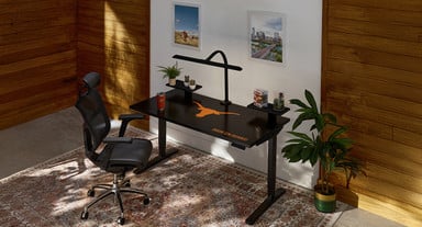 2-Leg collegiate desk with University of Texas branding 