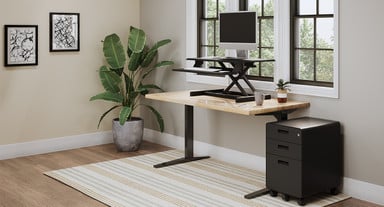 60" x 30" Birch Butcher Block Solid Wood Seated Height 2-Leg Table with Ladybird Standing Desk Converter